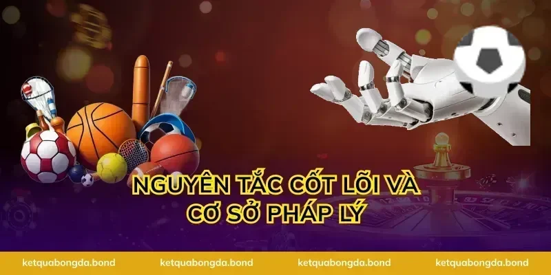 Nguyên tắc cốt lõi và cơ sở pháp lý