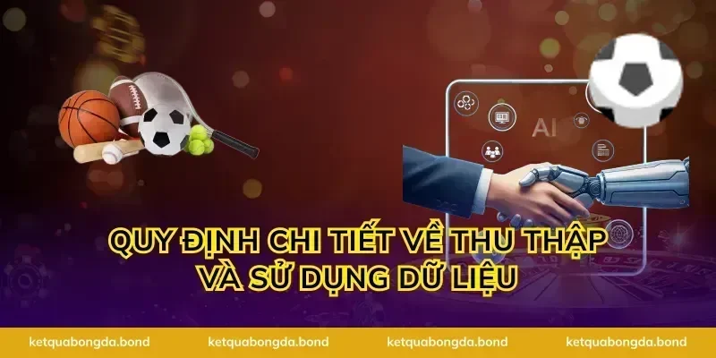 Quy định chi tiết về thu thập và sử dụng dữ liệu