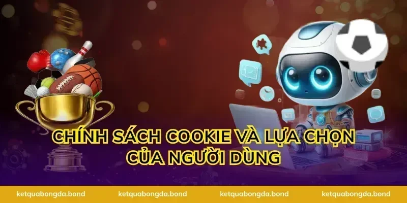 Chính sách cookie và lựa chọn của người dùng