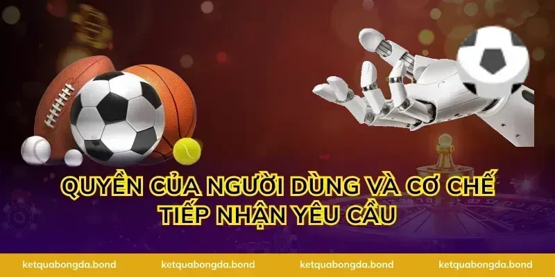 Quyền của người dùng và cơ chế tiếp nhận yêu cầu
